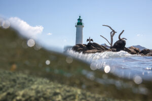 Bien entouré ! Phare de Propriano - Corse du sud