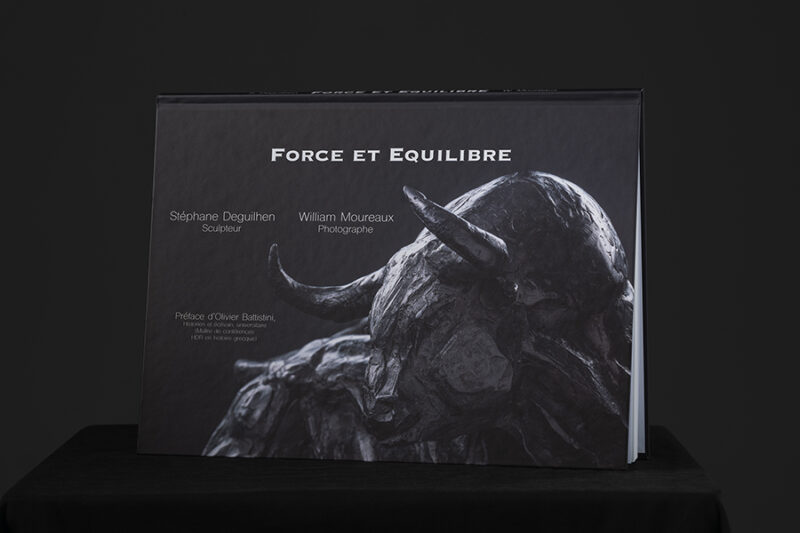 Livre de photo "Force et équilibre"