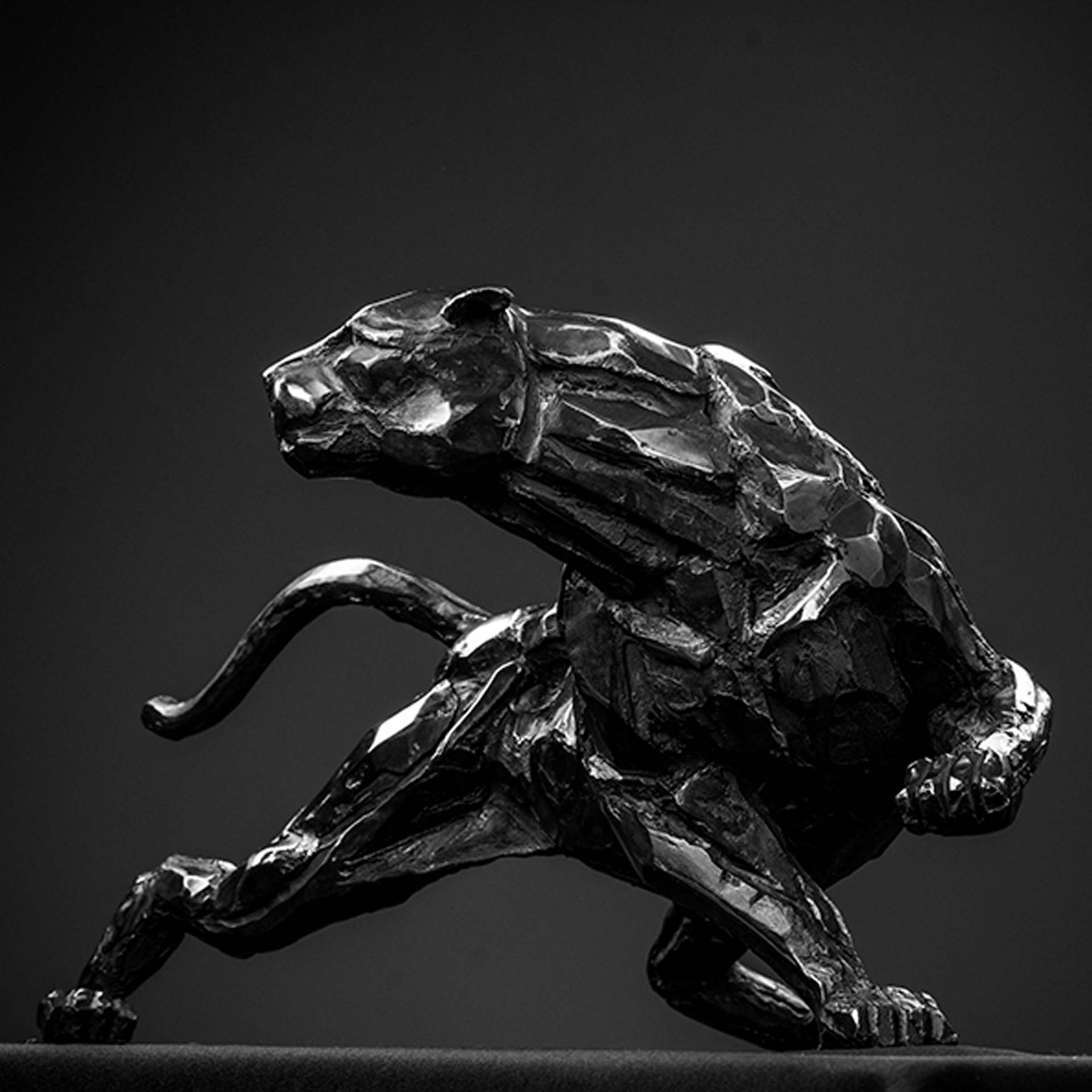 Livre de photo "Force et équilibre" – Image 4