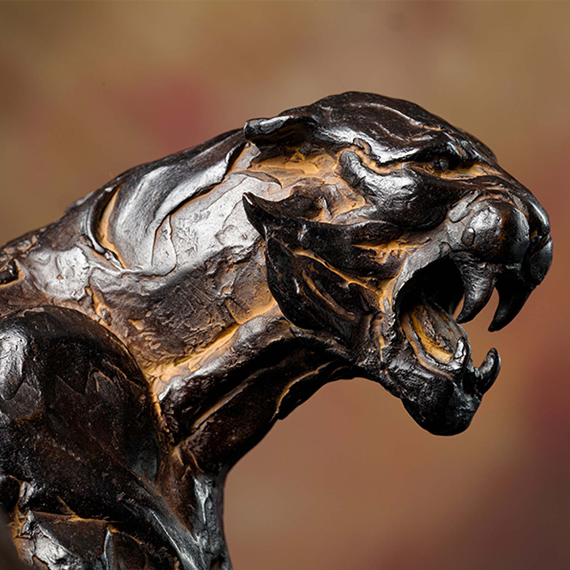 Livre de photo "Force et équilibre" – Image 3