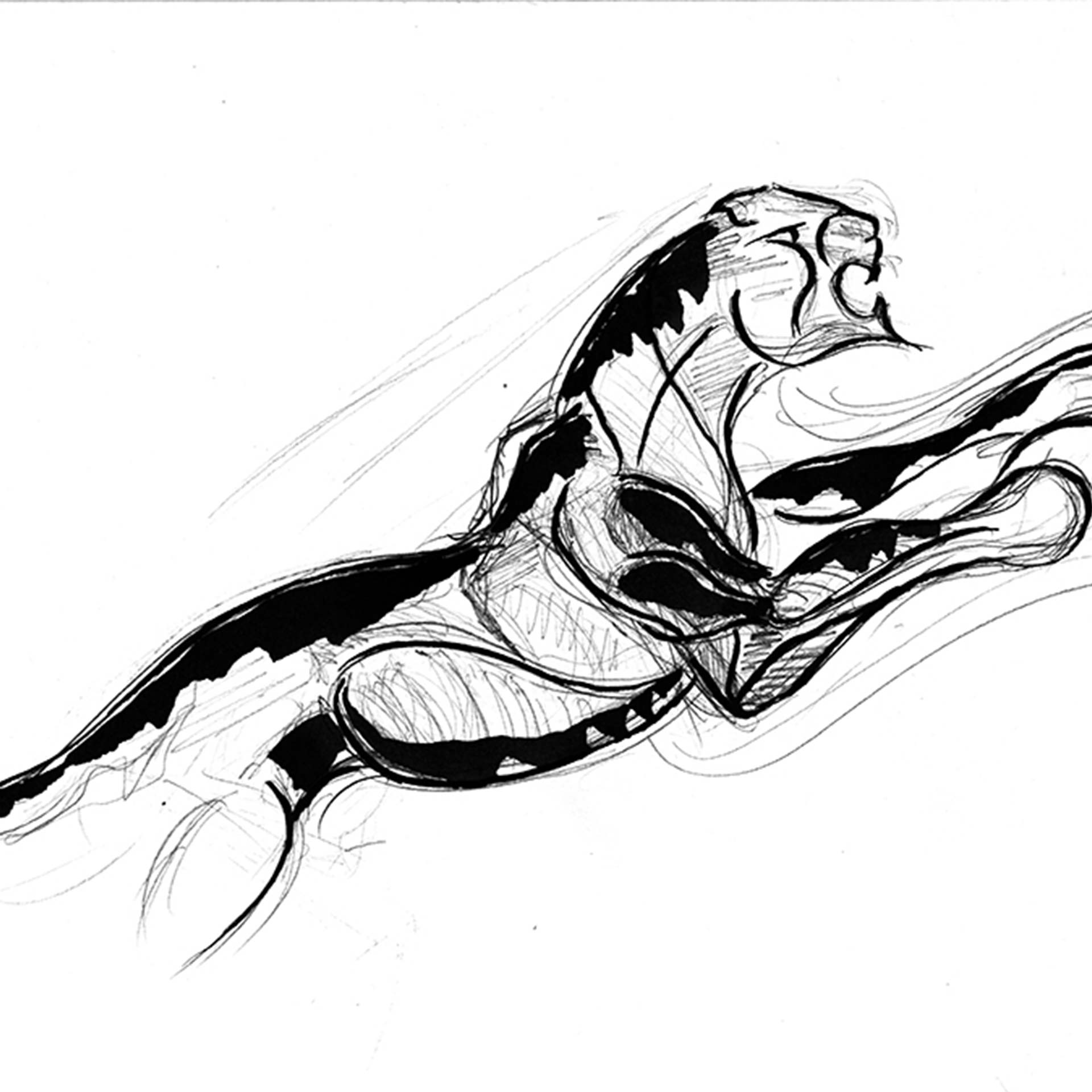 Livre de photo "Force et équilibre" – Image 5